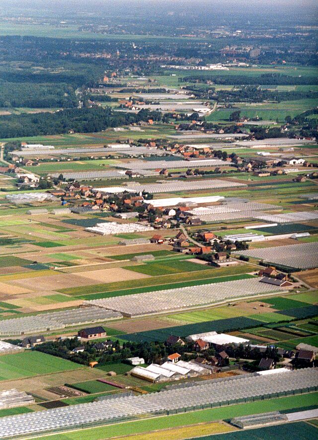 Luchtfoto van het tuinbouwgebied in Heemskerkerduin kijkend in noordelijke richting. Situatie 1986.